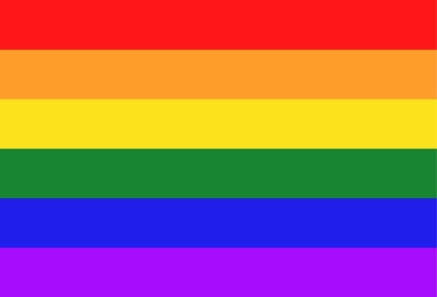 The Pride Flag as we know it today has gone through several iterations since its birth in 1978.