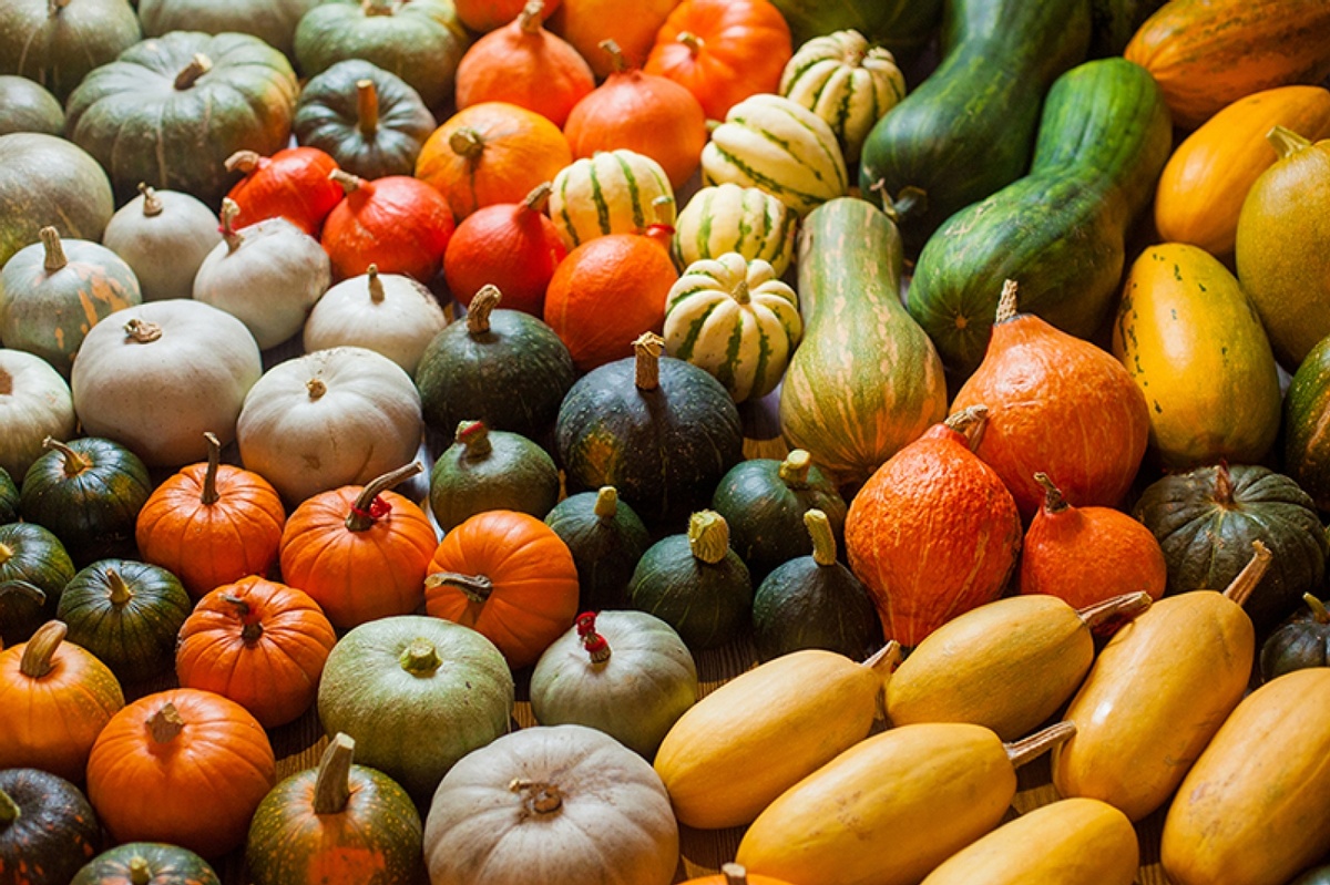 There are so many kinds of squash!