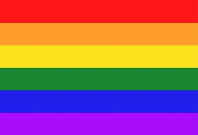 The Pride Flag as we know it today has gone through several iterations since its birth in 1978.