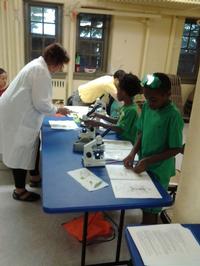 Science in the Summer instructor and students use microscopes to study cells.
