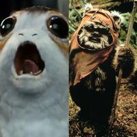 Pro-Porg and Pro-Ewok!