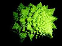 fractal food